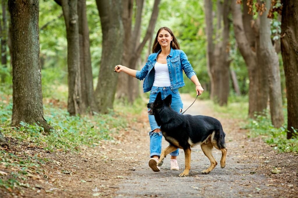 Daglige turer med hund